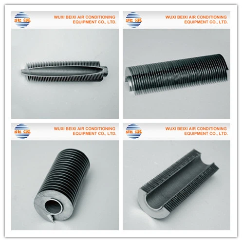 product-497-497 product-497-497